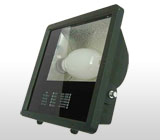 Floodlight with high frequency electrodeless lamp