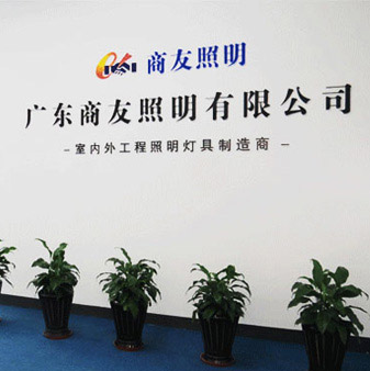 Guangdong Shangyou Lighting Co.,Ltd